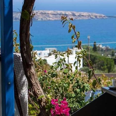 Aloe Paros Suites And Studios Drios Dış mekan fotoğraf