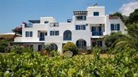Aloe Paros Suites And Studios Drios Dış mekan fotoğraf