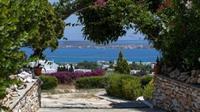 Aloe Paros Suites And Studios Drios Dış mekan fotoğraf